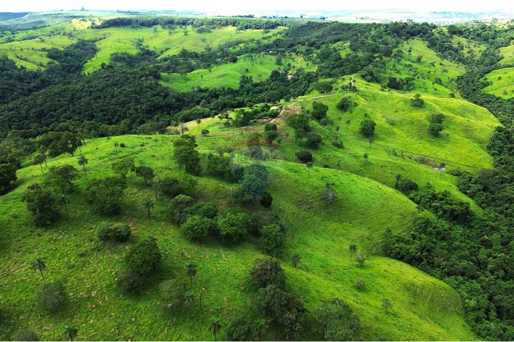Chácara / Sítio / Fazenda - Venda - Araxá , Minas Gerais - 10.JPG - 870431045-37