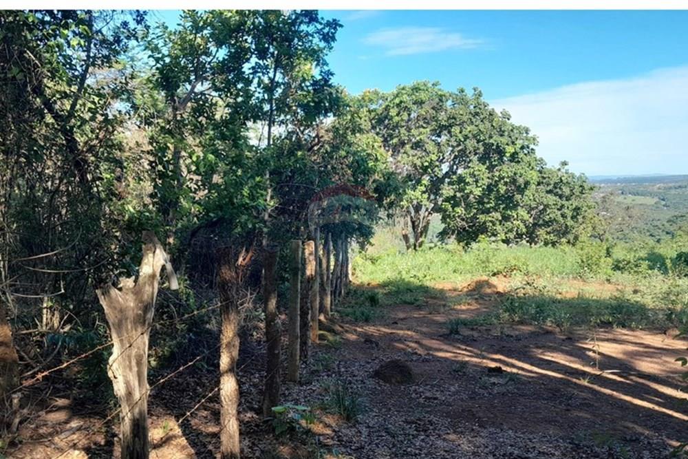 Terreno - Venda - Lagoa Santa , Minas Gerais - FOTO19 FAZENDA .jpg - 870421119-51