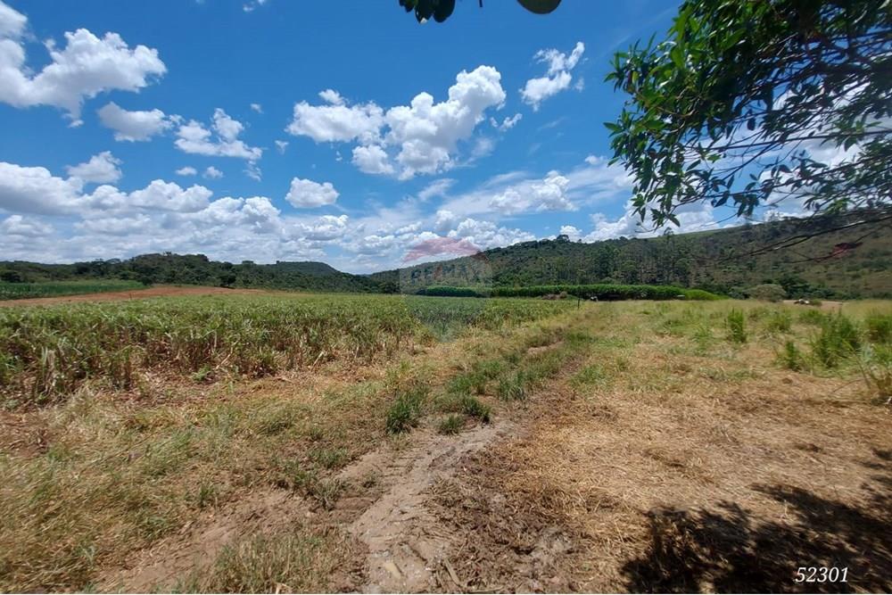 Chácara / Sítio / Fazenda - Venda - Perdizes , Minas Gerais - WhatsApp Image 2025-02-25 at 19.55.02 (3).jpeg - 870431028-37