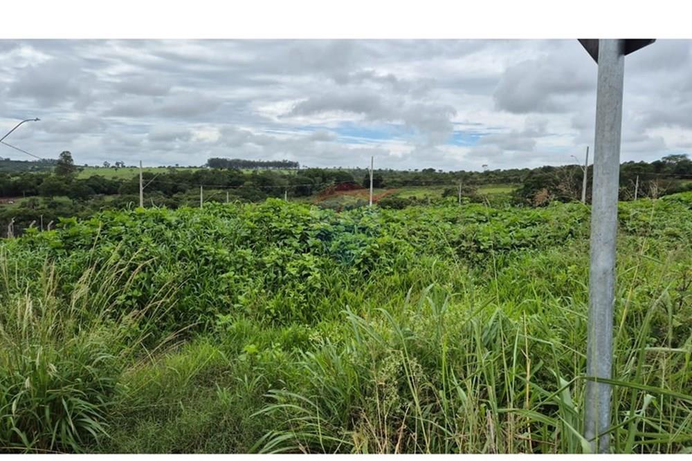 Terreno - Venda - Araxá , Minas Gerais - RODRIGO 2.jpeg - 870431054-10