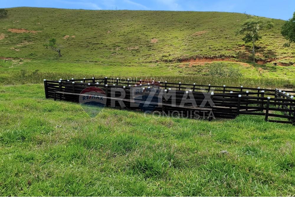Chácara / Sítio / Fazenda - Venda - Taparuba , Minas Gerais - 1_image_1_watermark_sex._19122025_102004.jpg - 870451001-158