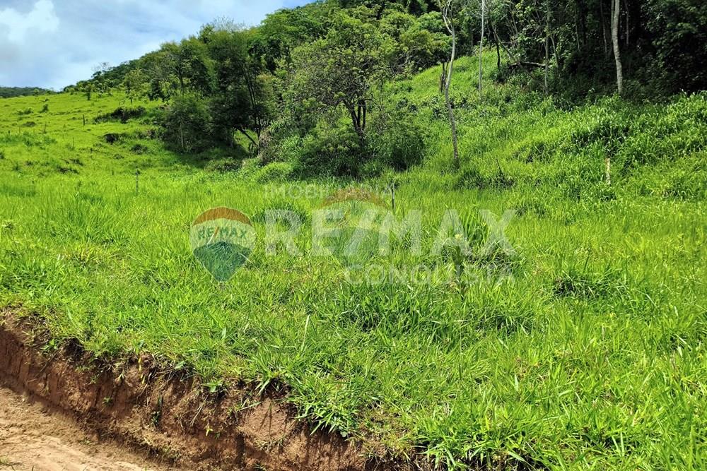 Chácara / Sítio / Fazenda - Venda - Taparuba , Minas Gerais - 1_image_1_watermark_ter._17022026_130731.jpg - 870451001-165