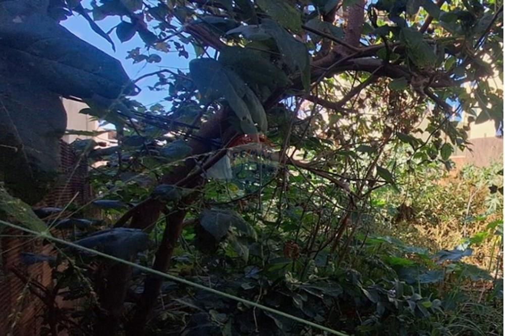 Terreno - Venda - Vespasiano , Minas Gerais - WhatsApp Image 2025-08-03 at 16.20.32.jpeg - 870411108-8