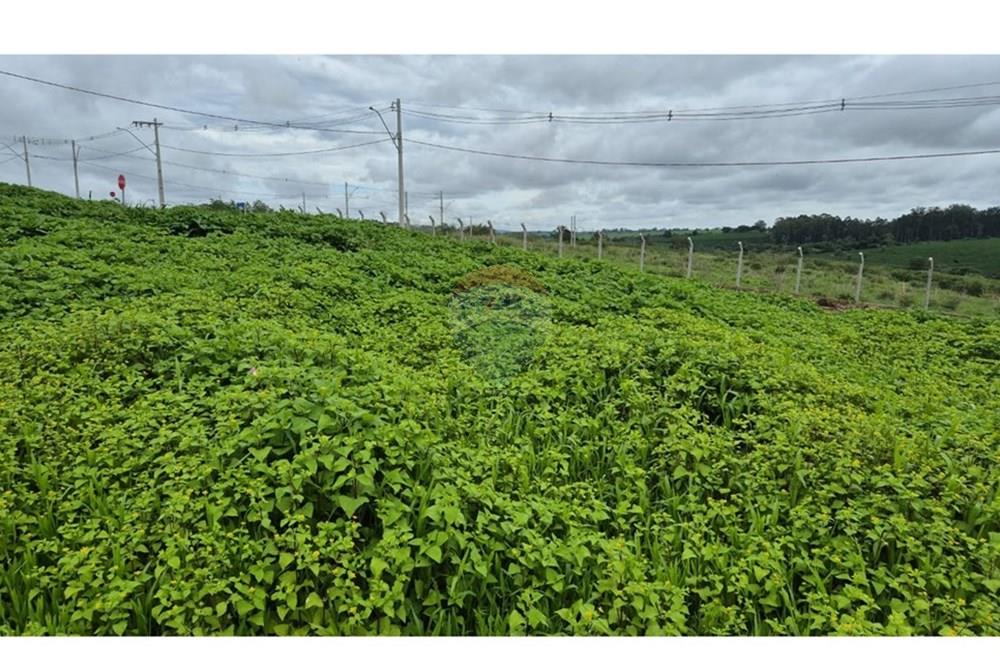 Terreno - Venda - Araxá , Minas Gerais - RODRIGO 9.jpeg - 870431054-10