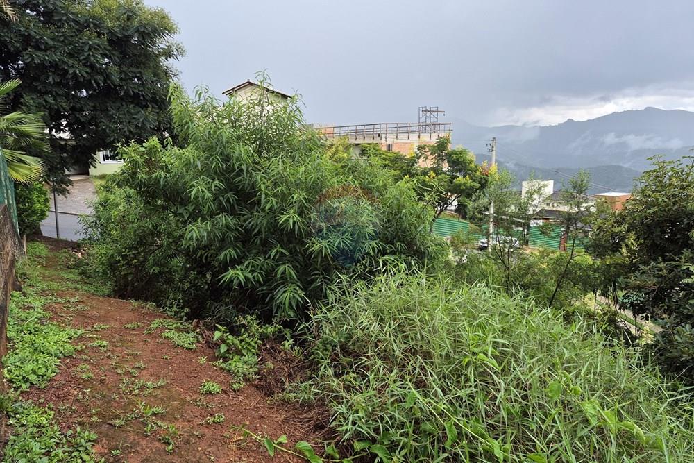 Terreno - Venda - Nova Lima , Minas Gerais - 20260318_105504.jpg - 870421084-35