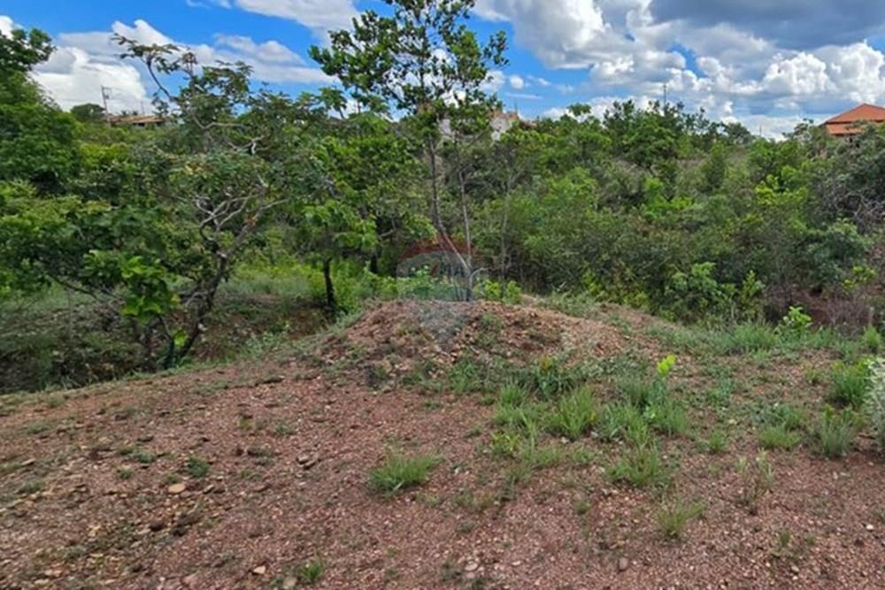 Terreno - Venda - Felixlândia , Minas Gerais - WhatsApp Image 2025-12-11 at 16.54.42.jpeg - 870411117-5