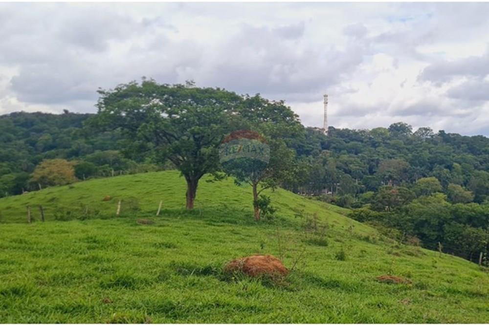 Fazenda - Venda - Pedro Leopoldo , Minas Gerais - WhatsApp Image 2025-12-11 at 15.16.54.jpeg - 870411117-34