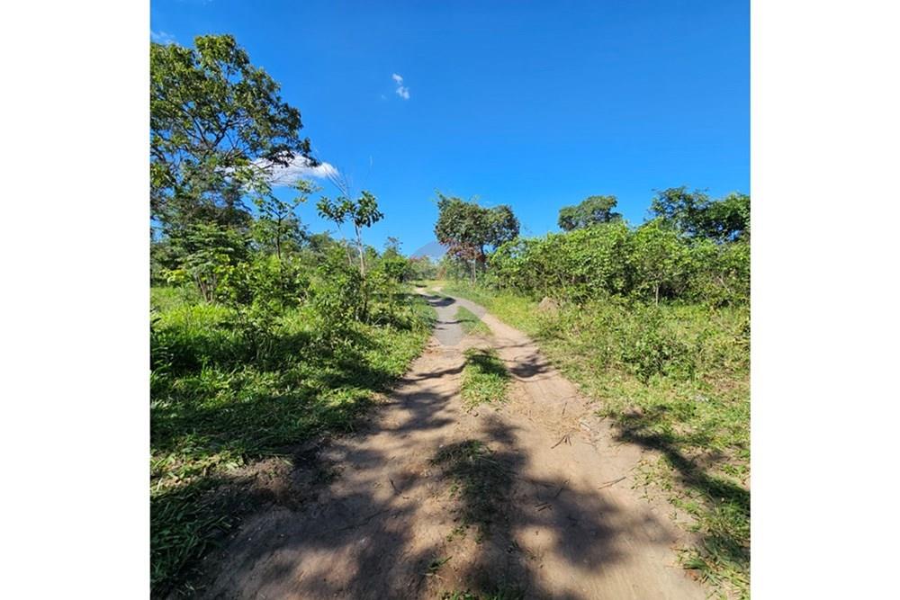 Terreno - Venda - Contagem , Minas Gerais - 20260112_152118.jpg - 870241034-67