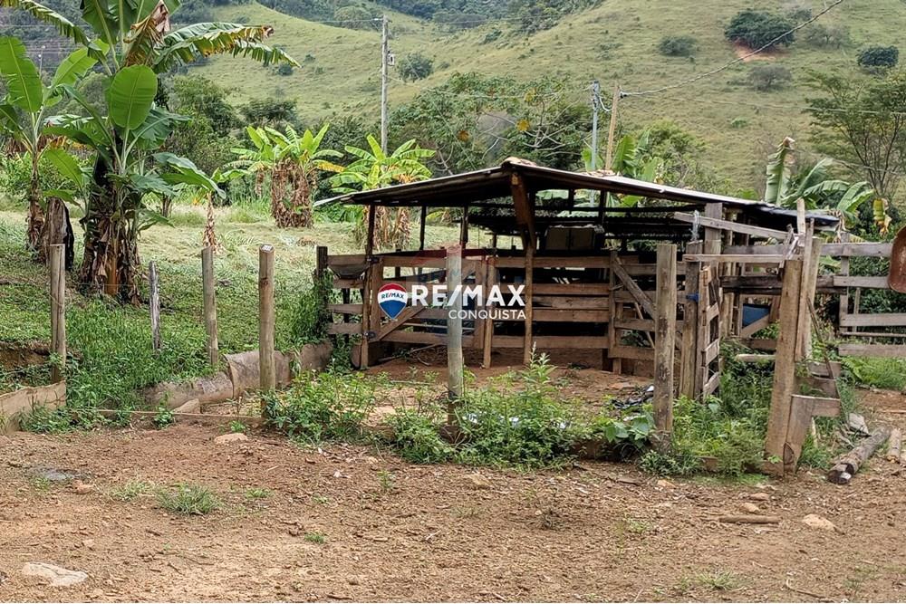 Chácara / Sítio / Fazenda - Venda - Ipanema , Minas Gerais - 8_image_8_watermark_seg._12052025_100204.jpg - 870451004-100