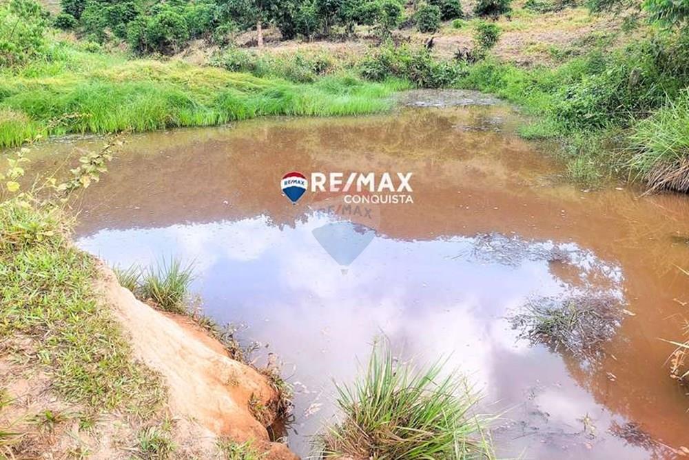 Chácara / Sítio / Fazenda - Venda - Ipanema , Minas Gerais - 6_IMG_20240515_070839_watermark_dom._23062024_100230.jpg - 870451001-121