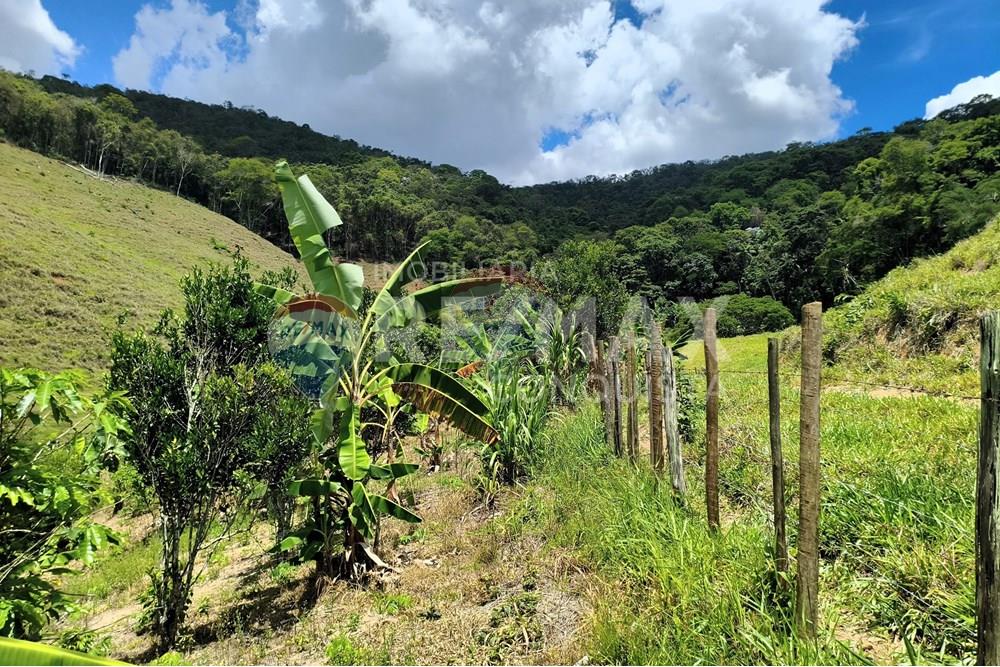 Chácara / Sítio / Fazenda - Venda - Taparuba , Minas Gerais - 0_image_0_watermark_sex._19122025_102209.jpg - 870451001-158