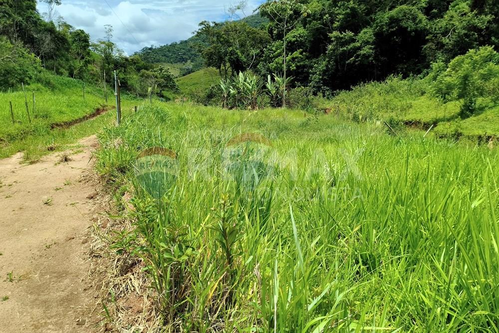 Chácara / Sítio / Fazenda - Venda - Taparuba , Minas Gerais - 2_image_2_watermark_ter._17022026_130643.jpg - 870451001-165