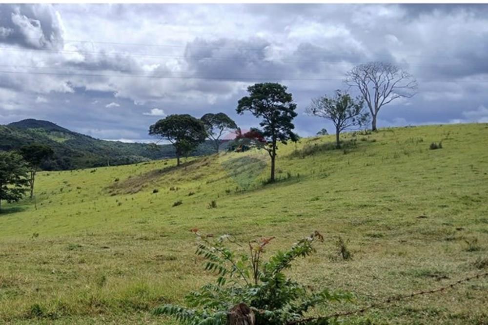 Fazenda - Venda - Serro , Minas Gerais - WhatsApp Image 2025-11-22 at 10.11.26 (1).jpeg - 870411101-18