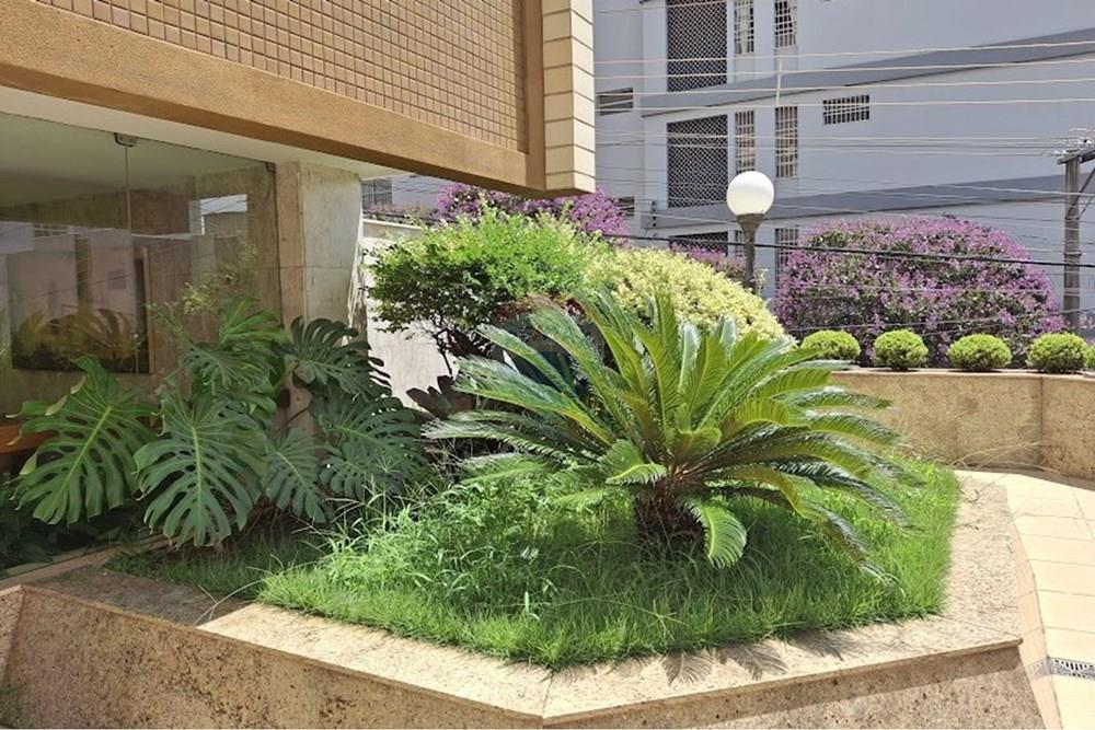 Apartamento - Alugar - Belo Horizonte , Minas Gerais - 20260228_110647.jpg - 870251071-172