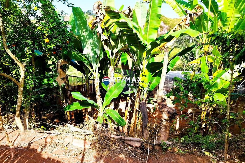 Chácara / Sítio / Fazenda - Venda - Ipanema , Minas Gerais - 5_pro-3wE21q1Q_watermark_dom._23062024_093353.jpg - 870451004-116