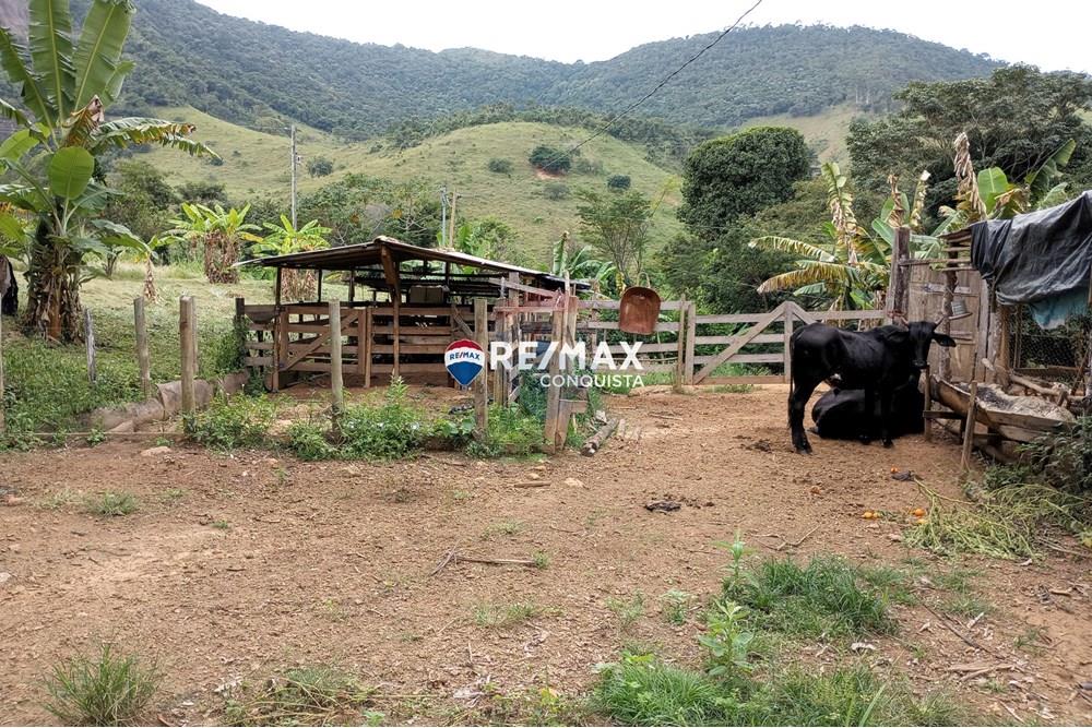 Chácara / Sítio / Fazenda - Venda - Ipanema , Minas Gerais - 7_image_7_watermark_seg._12052025_100204.jpg - 870451004-100