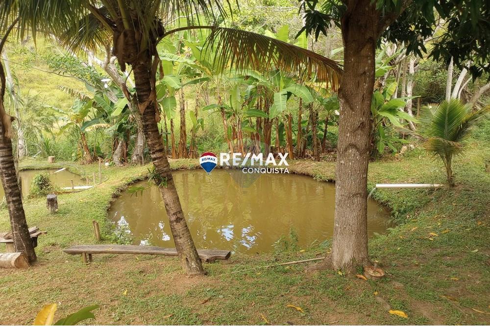 Chácara / Sítio / Fazenda - Venda - Ipanema , Minas Gerais - 5_image_5_watermark_seg._12052025_100557.jpg - 870451004-100