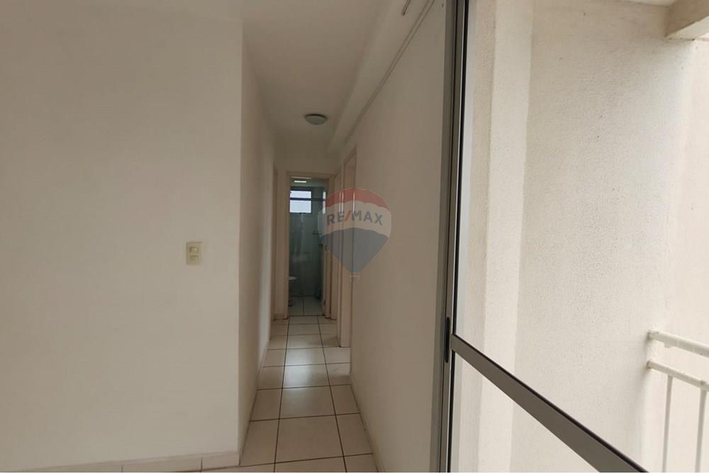 Apartamento - Alugar - Belo Horizonte , Minas Gerais - IMG-20260107-WA0080.jpg - 870411150-1