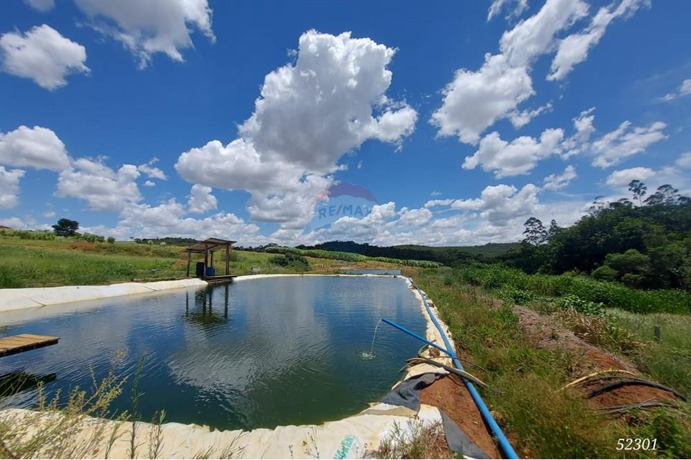 Chácara / Sítio / Fazenda - Venda - Perdizes , Minas Gerais - WhatsApp Image 2025-02-25 at 19.55.09.jpeg - 870431028-37