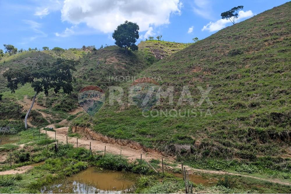 Chácara / Sítio / Fazenda - Venda - Taparuba , Minas Gerais - 3_image_3_watermark_sex._19122025_102130.jpg - 870451001-158