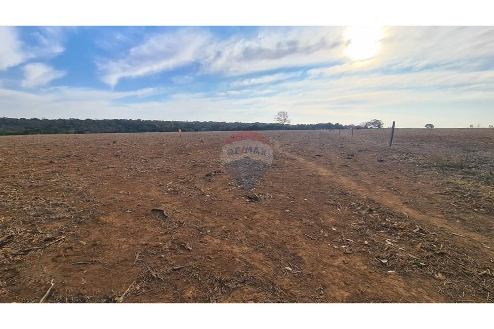 Chácara / Sítio / Fazenda - Venda - Uberaba , Minas Gerais - 37 Fazenda Venda R$ 6.500.000 em Uberaba na Remax 870291025-115.jpeg - 870291025-115