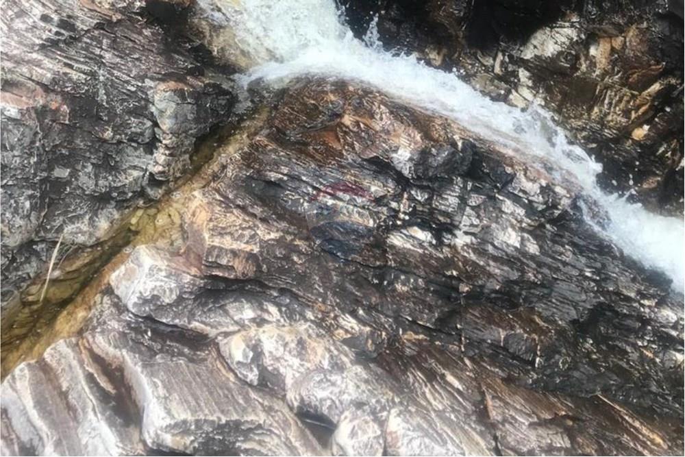 Chácara / Sítio / Fazenda - Venda - Delfinópolis , Minas Gerais - 20.jpg - 870721005-23