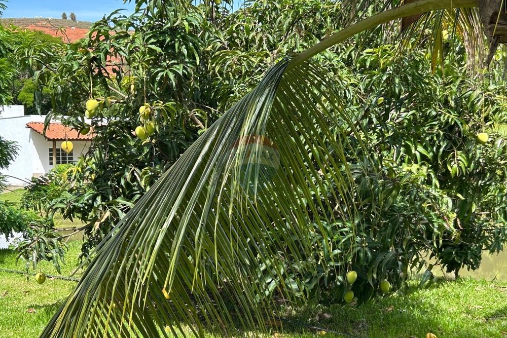 Chácara / Sítio / Fazenda - Venda - Alpercata , Minas Gerais - 19.jpeg - 870671001-168