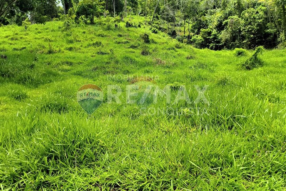 Chácara / Sítio / Fazenda - Venda - Taparuba , Minas Gerais - 5_image_5_watermark_ter._17022026_130733.jpg - 870451001-165