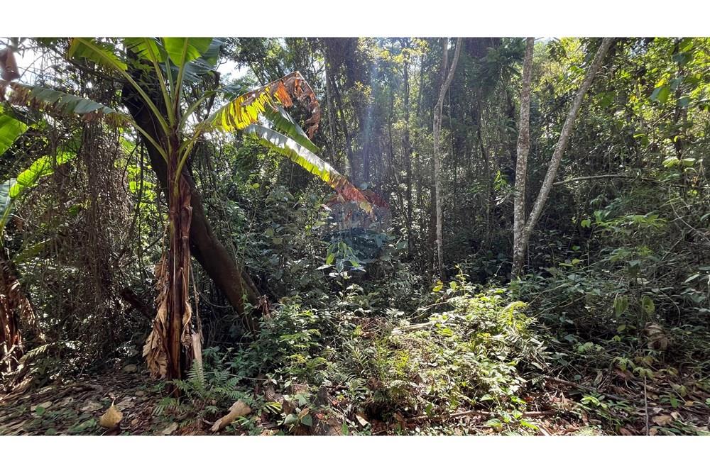 Terreno - Venda - Nova Lima , Minas Gerais - WhatsApp Image 2025-11-04 at 10.48.11 (2).jpeg - 870351032-24