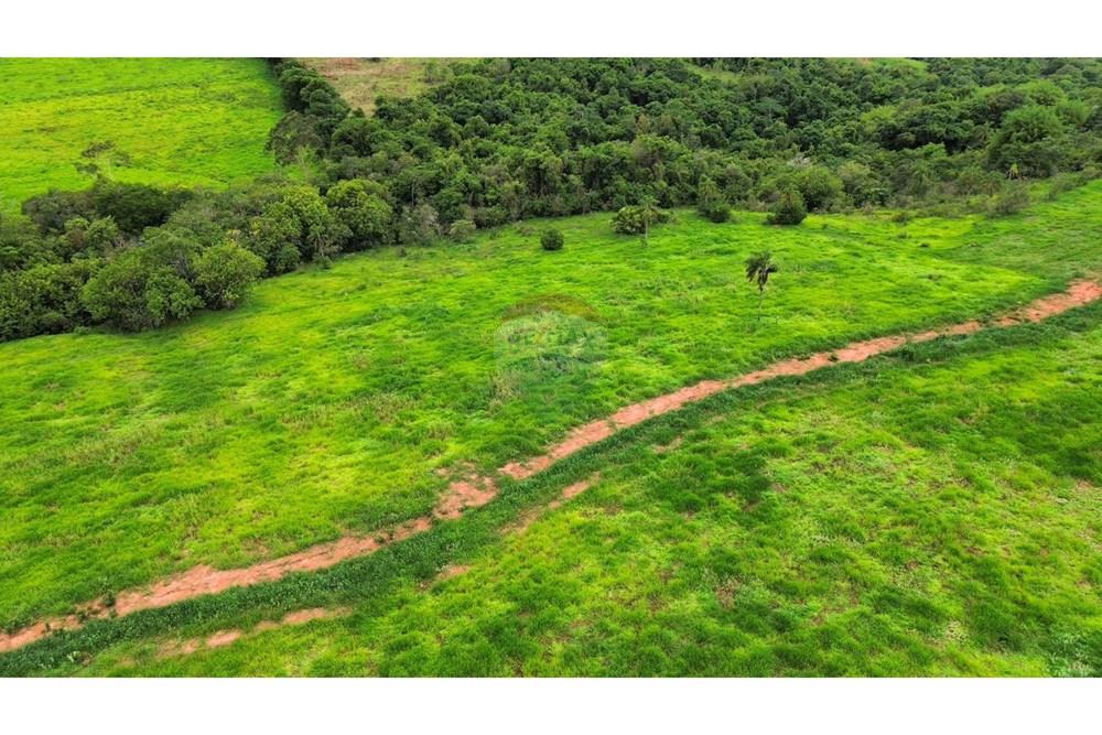 Chácara / Sítio / Fazenda - Venda - São Sebastião do Paraíso , Minas Gerais - SITIO ROMULO BICEGO (15).jpeg - 870811007-131