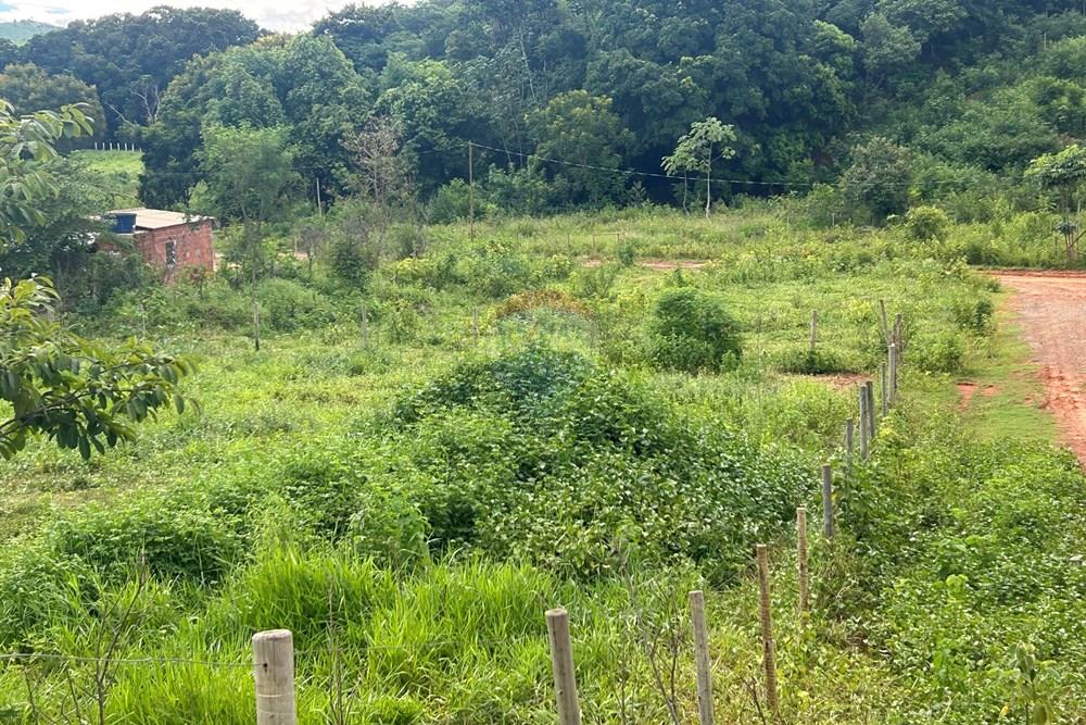 Chácara / Sítio / Fazenda - Venda - Alpercata , Minas Gerais - IMG_5640.jpg - 870671001-154