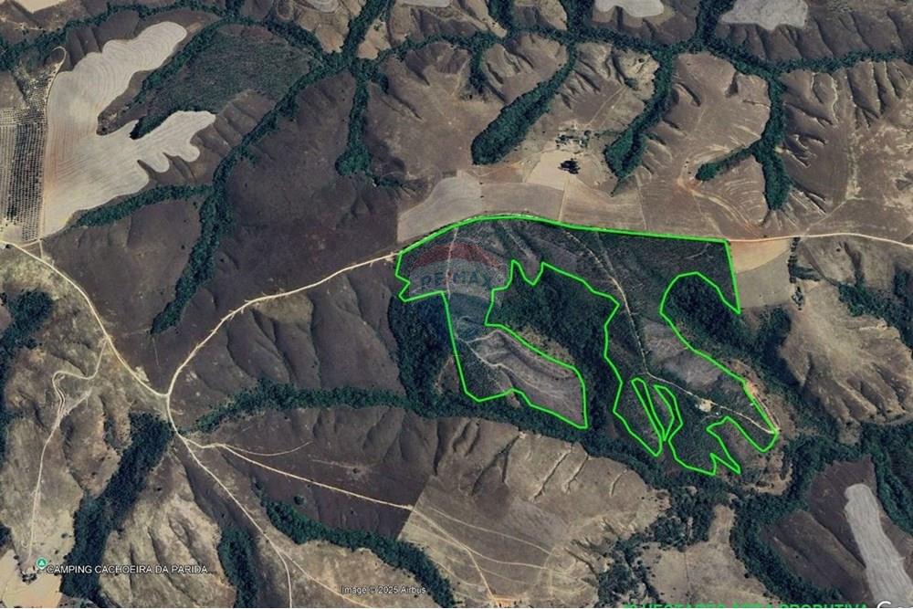 Chácara / Sítio / Fazenda - Venda - Araxá , Minas Gerais - ÁREA PRODUTIVA.JPG - 870431045-49