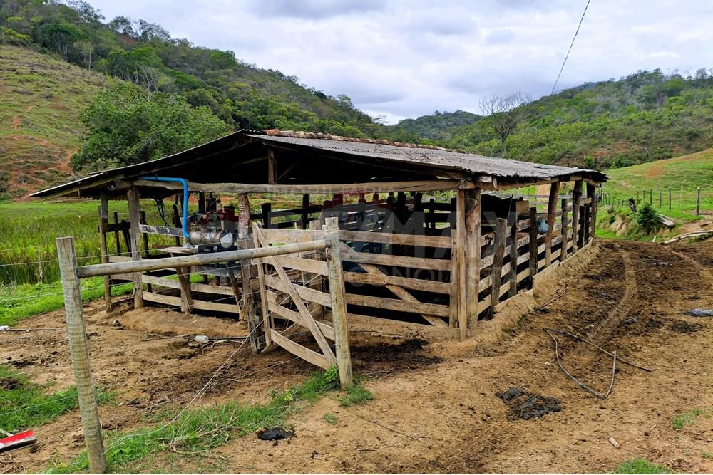 Chácara / Sítio / Fazenda - Venda - Ipanema , Minas Gerais - 9_image_9_watermark_qui._20112025_124904.jpg - 870451013-80
