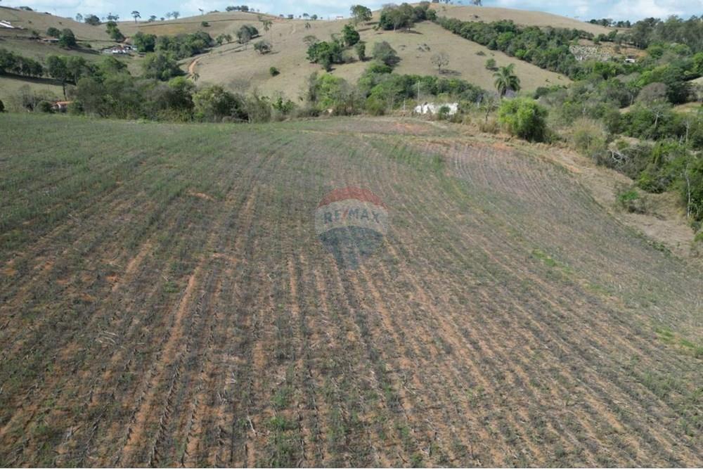 Chácara / Sítio / Fazenda - Venda - Caldas , Minas Gerais - IMG-20251031-WA0012.jpg - 870361060-14