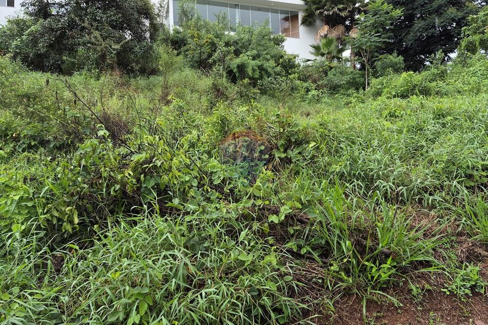 Terreno - Venda - Nova Lima , Minas Gerais - 20260318_105044.jpg - 870421084-35