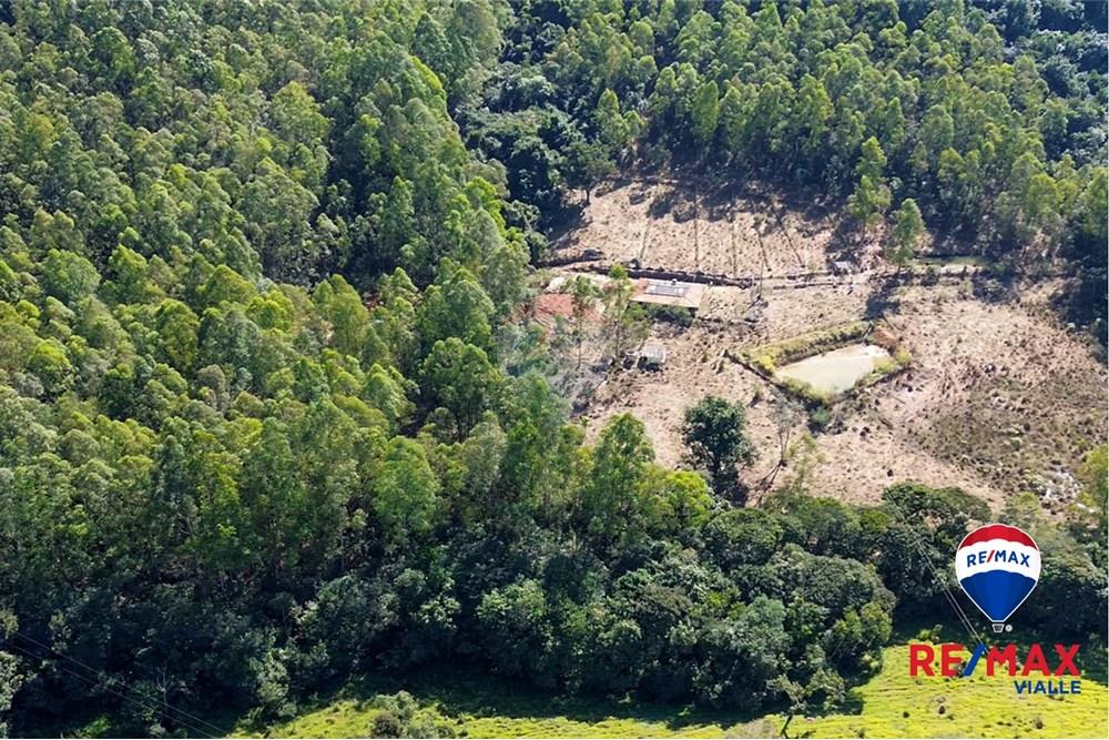 Chácara / Sítio / Fazenda - Venda - São Roque de Minas , Minas Gerais - d0720249-6a70-4cd3-8de3-fb76f2c959c5.jpg - 870731003-7