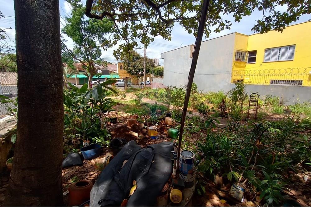 Terreno - Alugar - Uberaba , Minas Gerais - 07.jpeg - 870291025-85