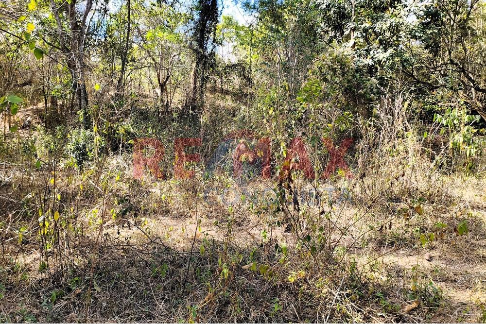 Chácara / Sítio / Fazenda - Venda - Ipanema , Minas Gerais - 7_image_7_watermark_seg._15092025_150714.jpg - 870451013-72