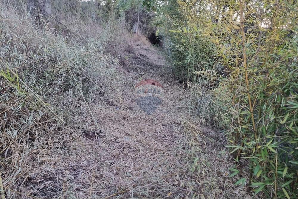 Terreno - Venda - Nova Lima , Minas Gerais - Foto 10.jpg - 870421084-16