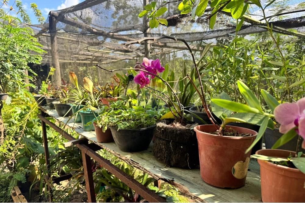 Terreno - Venda - Brumadinho , Minas Gerais - WhatsApp Image 2025-11-20 at 10.09.11 (1).jpeg - 870421014-347