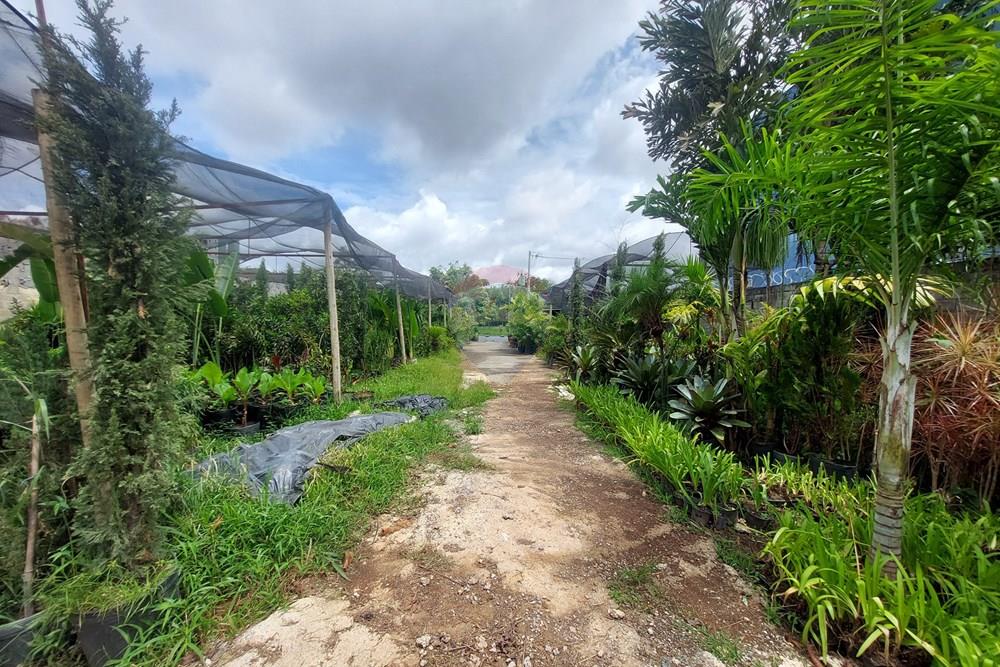 Terreno - Venda - Belo Horizonte , Minas Gerais - 7.jpg - Pátio interno - 870701004-63