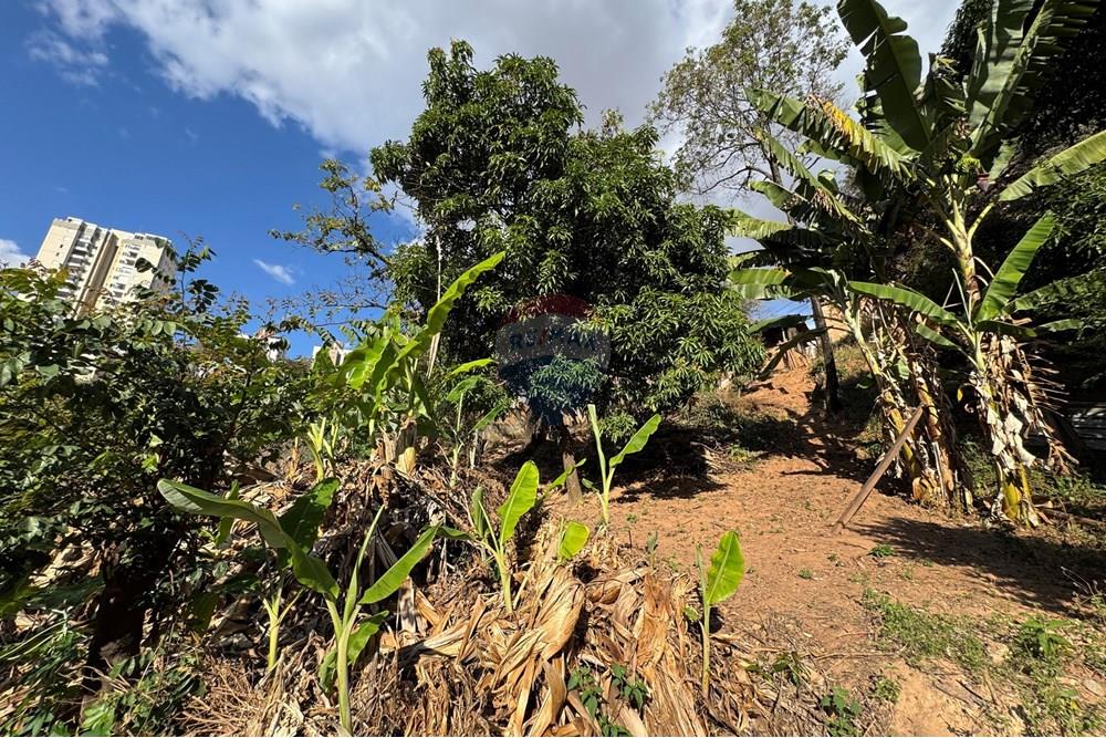 Terreno - Venda - Belo Horizonte , Minas Gerais - IMG_0290.JPG - 870411048-65