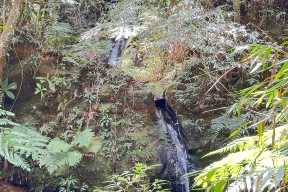 Chácara / Sítio / Fazenda - Venda - Caeté , Minas Gerais - IMG-20251030-WA0348.jpg - 870421116-90