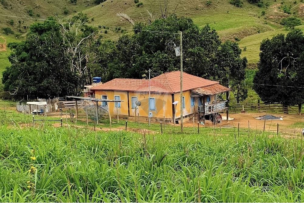 Chácara / Sítio / Fazenda - Venda - Ipanema , Minas Gerais - 6_image_6_watermark_qui._20112025_124803.jpg - 870451013-80