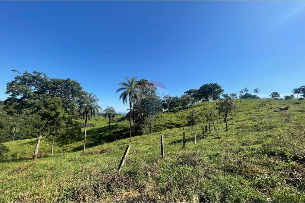 Chácara / Sítio / Fazenda - Venda - Araxá , Minas Gerais - 20.jpg - 870431045-37