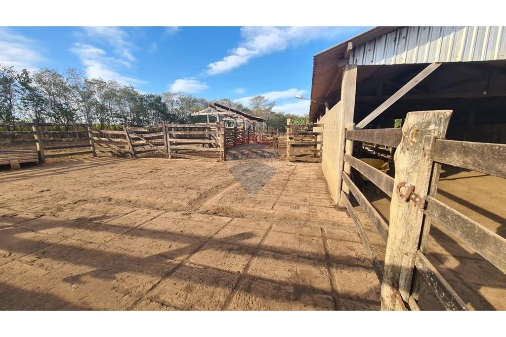 Chácara / Sítio / Fazenda - Venda - Uberaba , Minas Gerais - 06 Fazenda Venda R$ 6.500.000 em Uberaba na Remax 870291025-115.jpeg - 870291025-115