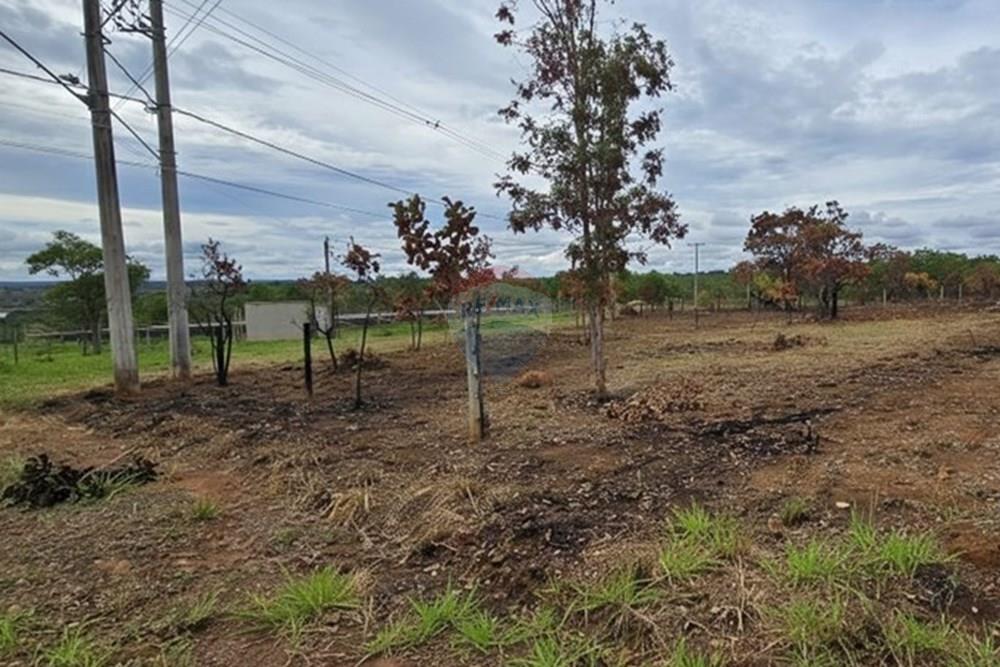 Terreno - Venda - Felixlândia , Minas Gerais - a14e4de9-39bf-4523-a43d-8edc0c2c34d8.jpeg - 870411117-32