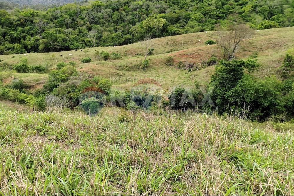 Chácara / Sítio / Fazenda - Venda - Ipanema , Minas Gerais - 3_image_3_watermark_qui._20112025_124245.jpg - 870451013-80