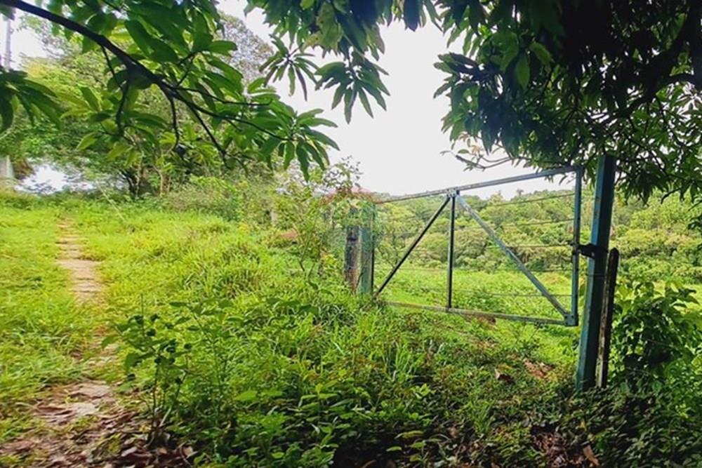 Fazenda - Venda - Pedro Leopoldo , Minas Gerais - WhatsApp Image 2025-12-11 at 15.19.17 (1).jpeg - 870411117-34