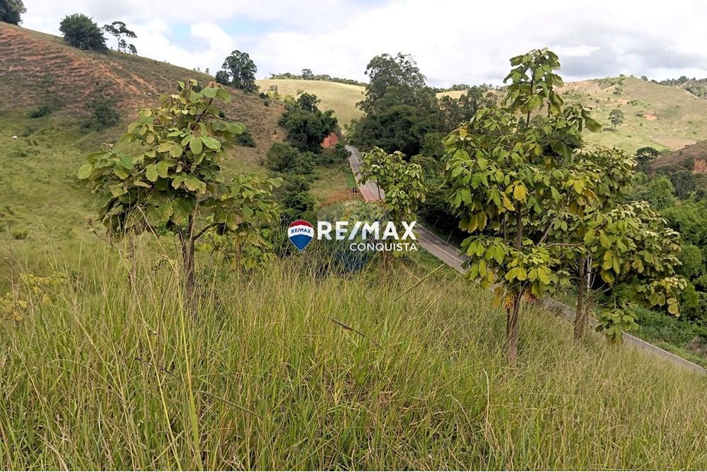 Chácara / Sítio / Fazenda - Venda - Conceição de Ipanema , Minas Gerais - 4_image_4_watermark_sáb._12042025_141817.jpg - 870451013-61